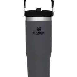 Buy π Stanley The IceFlow Flip Straw Tumbler | 30 OZ βοΈ