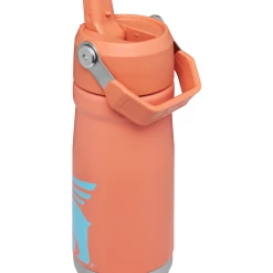 Sweese Elegant Shop -Sweese Elegant Shop B2B Web PNG The IceFlow Flip Straw Water Bottle 17oz Grapefruit Hero Back